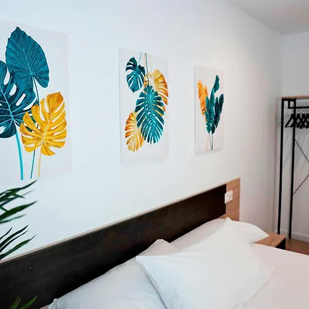 Sal Catedral Vut-le-771 *